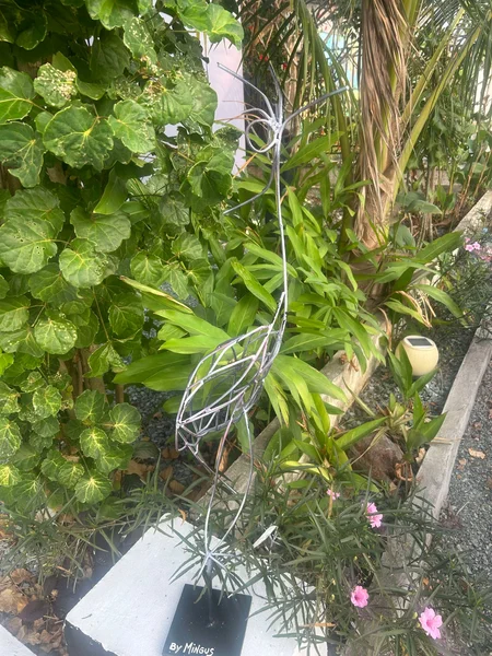 Le Jardin de Mingus 11