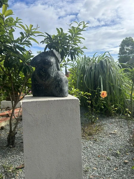 Le Jardin de Mingus 17